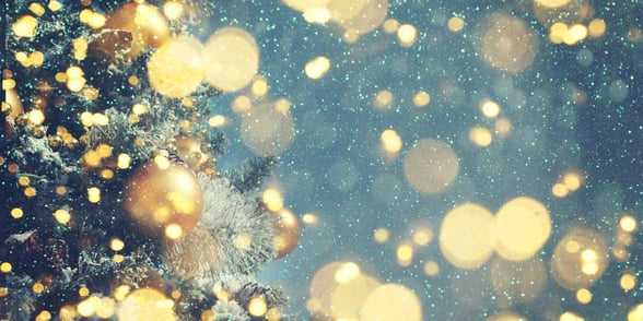 Photo of Christmas tree, lights, and snow