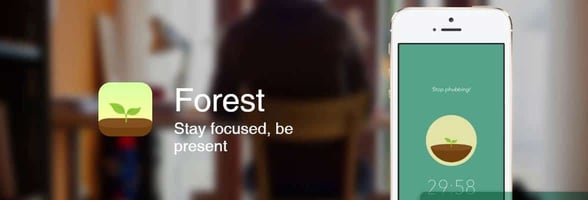 Screenshot from Forest