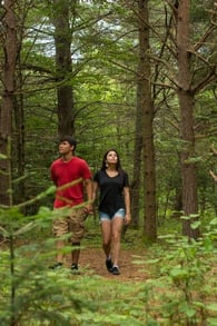 Photo of a walking trail in iForest