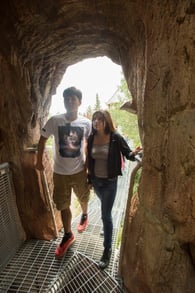Photo of a couple on the Wild Walk