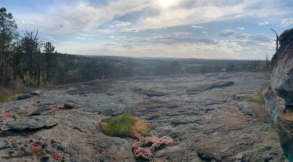 Photo of a view from the Arabia Mountain National Heritage Area