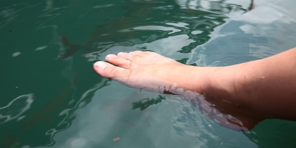 Photo of dipping toe in water