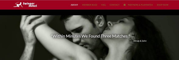 Screenshot of Swinger Safari