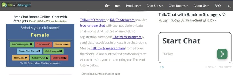 Talk with Strangers homepage Talk with Strangers homepage
