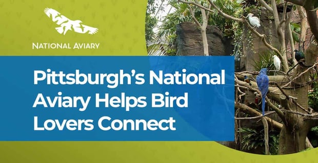 Pittsburghs National Aviary Helps Bird Lovers Connect