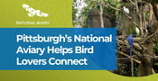 Pittsburgh’s National Aviary Offers Bird Lovers a Unique Dating Spot