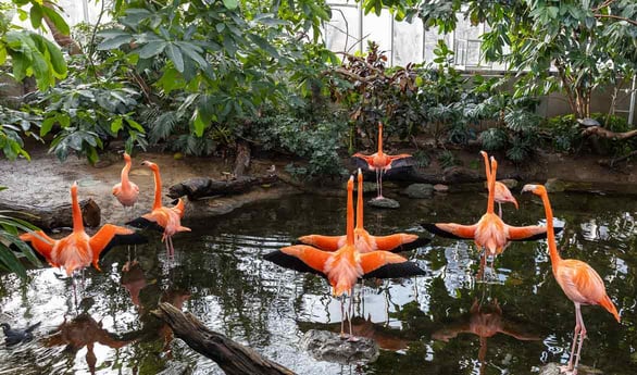 Photo of National Aviary exhibit Photo of National Aviary exhibit