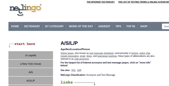 Screenshot of NetLingo Screenshot of NetLingo