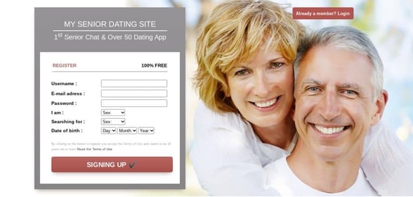 Screenshot of MySeniorDatingSite