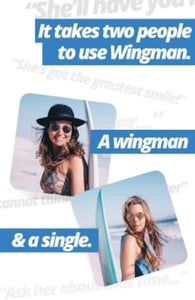 Screenshot of Wingman Screenshot of Wingman