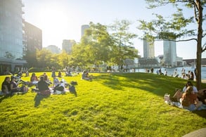 Photo of a park at Seaport