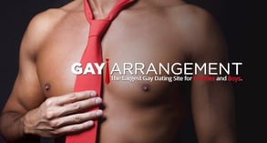 Screenshot of Gay Arrangement banner