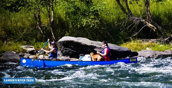 Photo of a couple canoeing