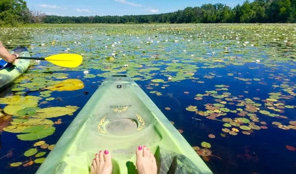 Photo of kayaker at Wildman Adventure Resort