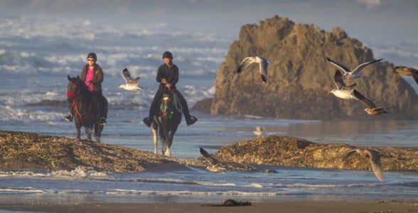 Photo of horseback riding