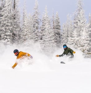 Photo of a couple skiing