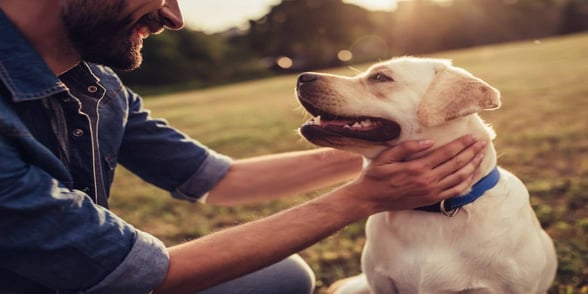 Photo of a man with a dog