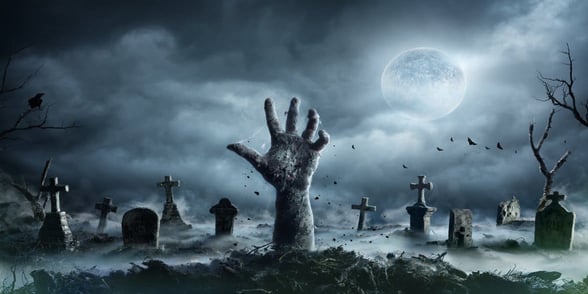 Photo of a zombie Photo of a zombie