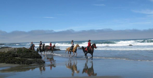 Horseback riding on the beach