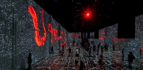 Photo of an Immersive Van Gogh Chicago exhibit