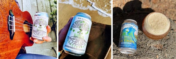 Collage of Surreal Brewing Company beers