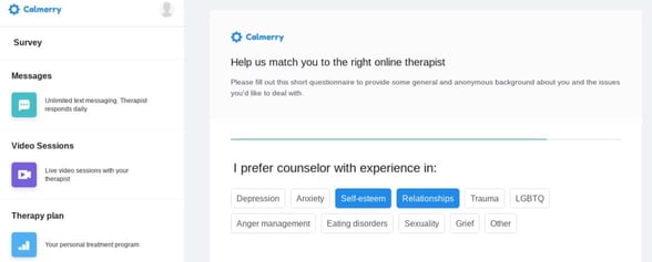Screenshot of Calmerry's client survey Screenshot of Calmerry's client survey