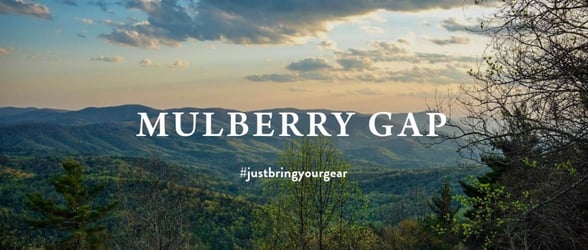Screenshot from Mulberry Gap