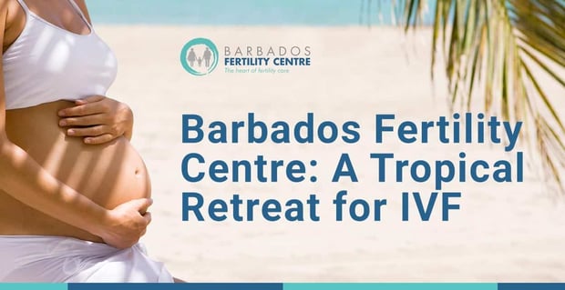 Barbados Fertility Centre Arranges Ivf Treatment And Retreat