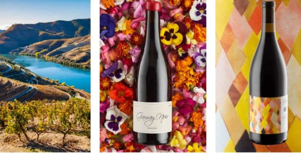 Screenshot of SommSelect's curated collections