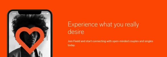 Screenshot of Feeld