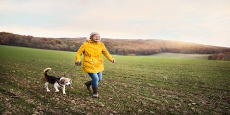 Spring Romance For Senior Singles