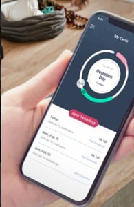 Screenshot of the app