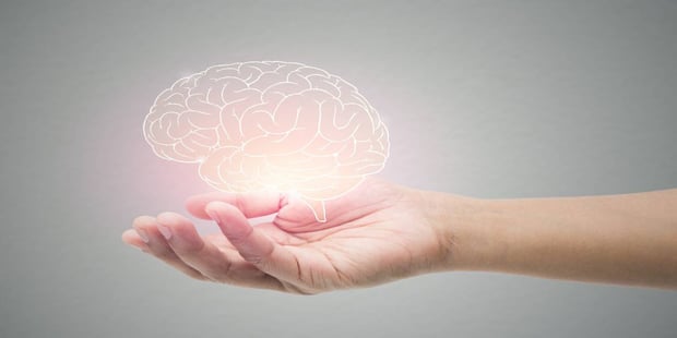 The Neurobiology Of Love And Attachment