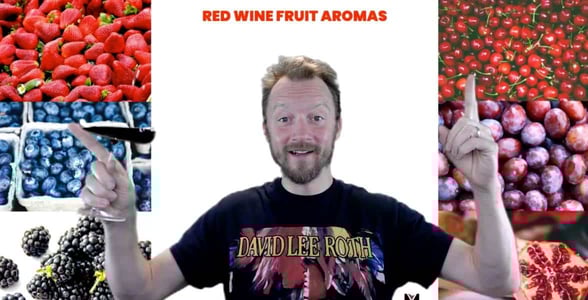 Screenshot of Dex hosting a wine tasting