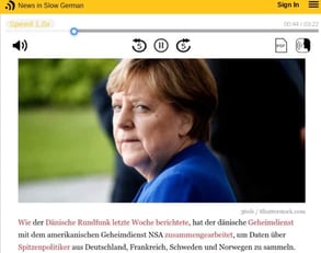 Screenshot of a news story