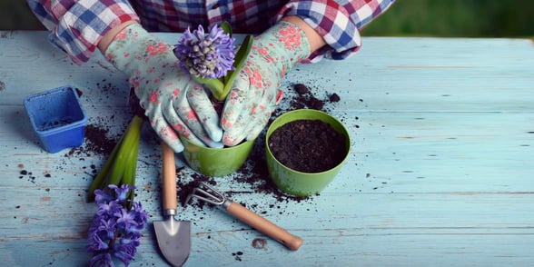 Photo of woman gardening Photo of woman gardening