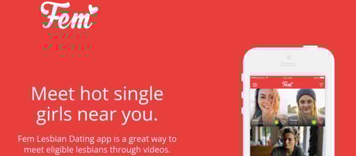 Screenshot of Fem