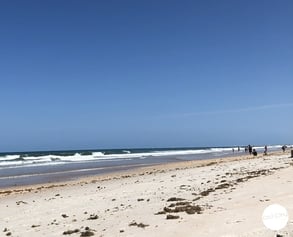 Photo of St. Augustine area beach