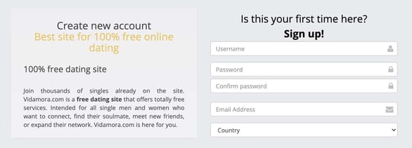 Screenshot from the Vidamora website