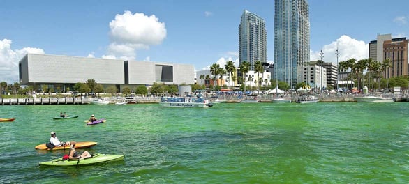Photo of water event in downtown Tampa