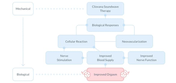 Screenshot of Cliovana process