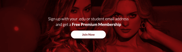 Screenshot from website.