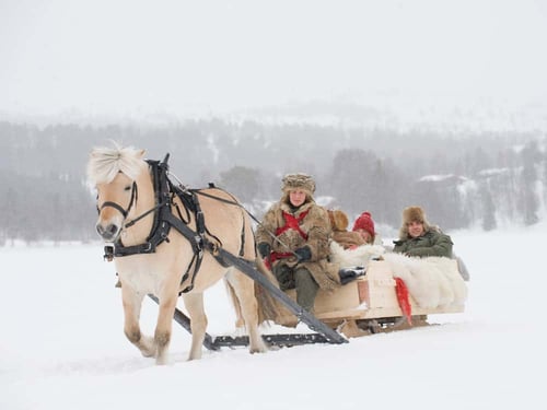 A horse pulling a sleigh full of people through the snow