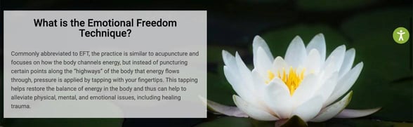 Screenshot from website.