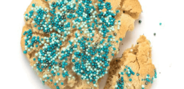 Broken sugar cookie with blue sprinkles