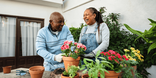 Older Black couple laughing and gardening together