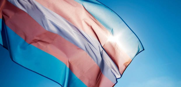 trans pride flag