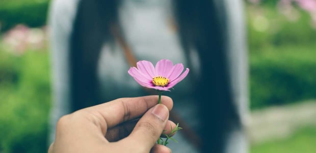 Photo of a flower being offered to a woman Photo of a flower being offered to a woman