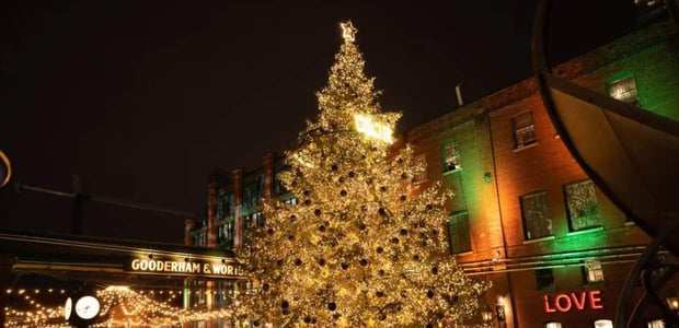 the distillery winter village christmas lights