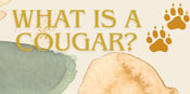 What Is a Cougar?